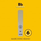 Silverstein AMBIPOLY Bb Clarinet Marching Band 4.5 thumbnail